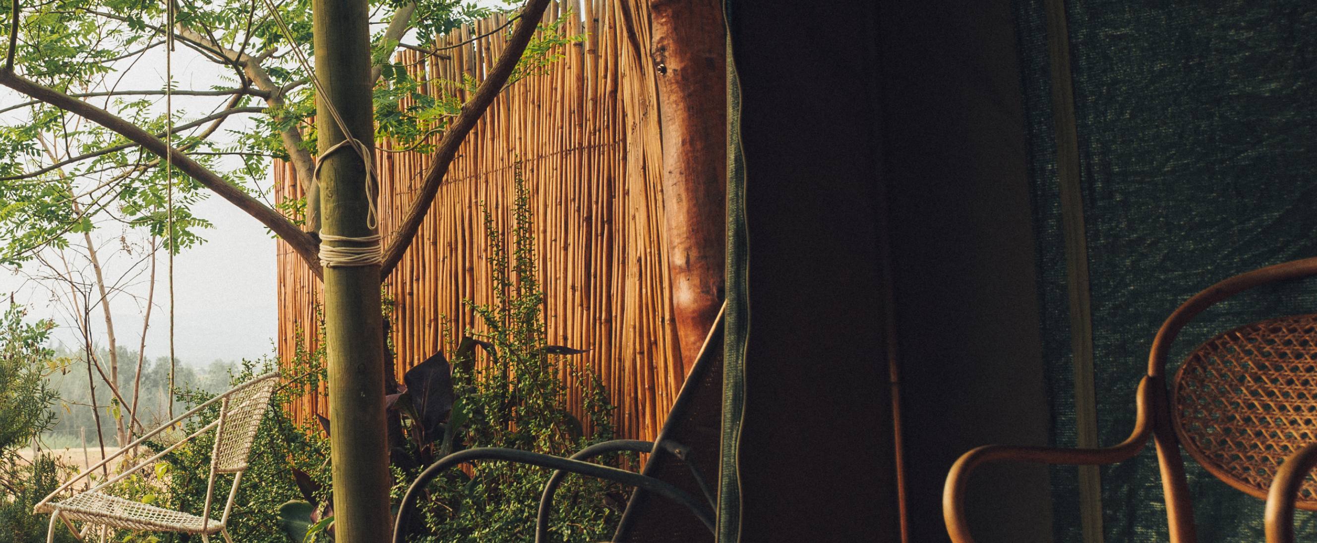 Outdoor seating area at an eco-lodge, with a bamboo fence, trees, and woven chairs.